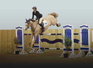 Combi-Wax with horse and rider Resized