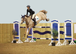 Resized - Show Jumping with horse and rider