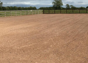 Resized - Mansfield Sand