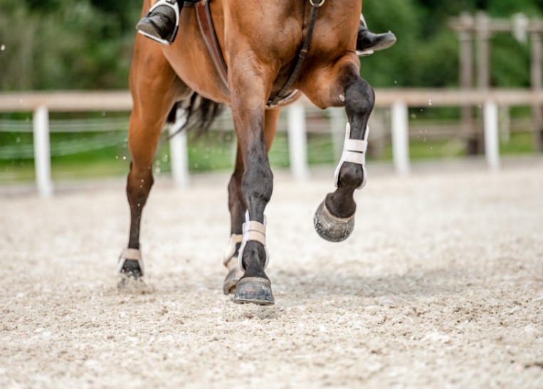 Horse running surface