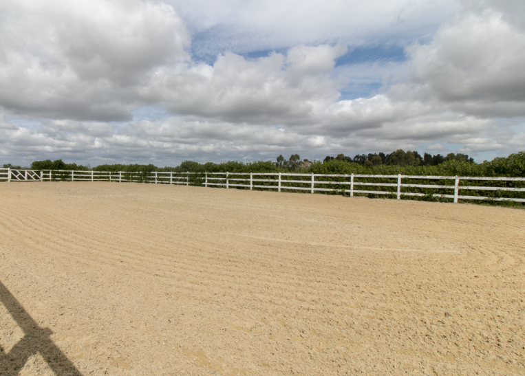 Dressage Arena Kit 20x40m With Letter Marker Cones Oypla