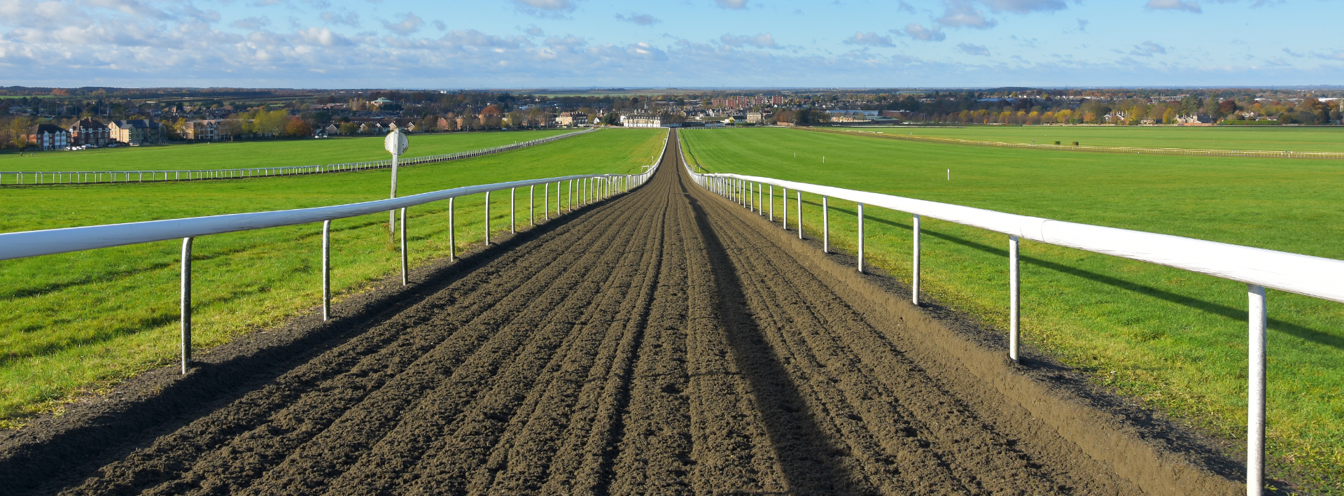 Gallop Surface