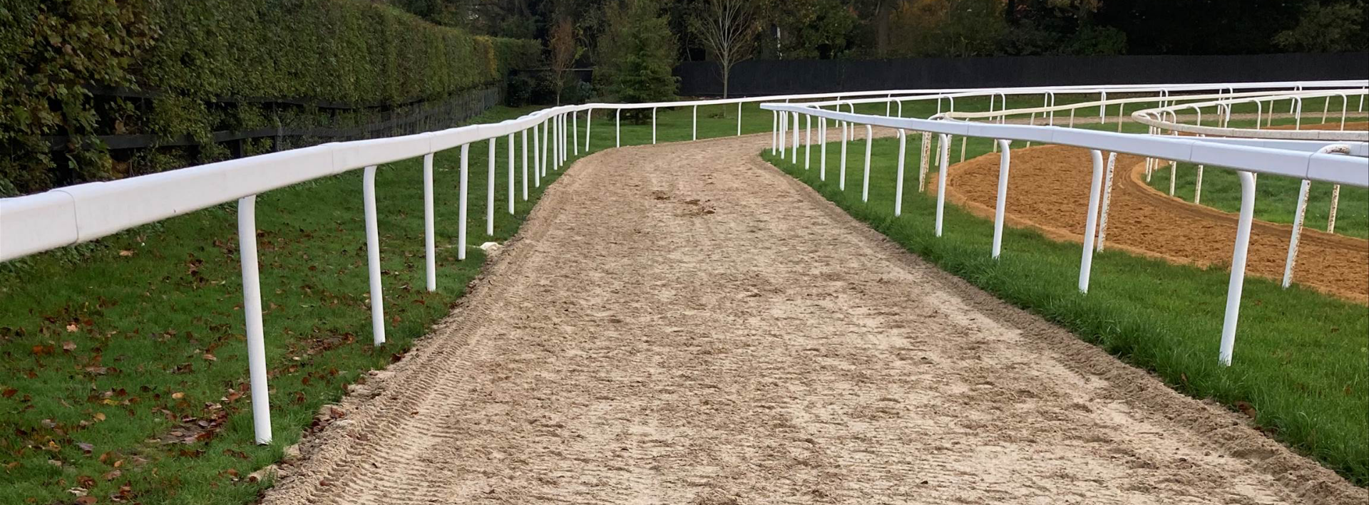 Gallop Surfaces