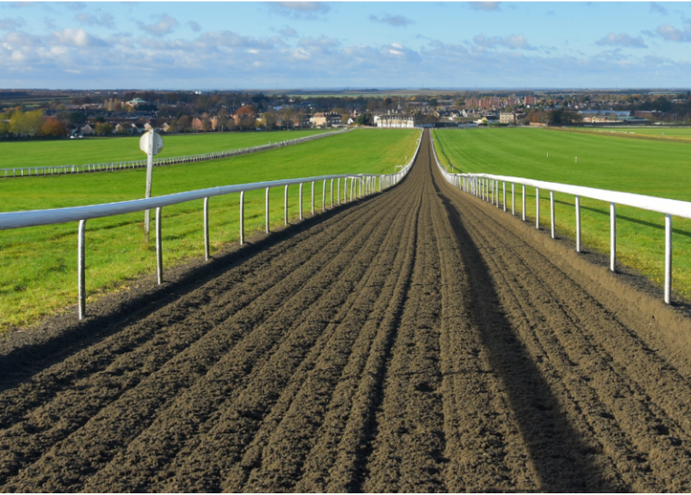 Gallop Surfaces Horse Racing Arena Surfaces CombiRide