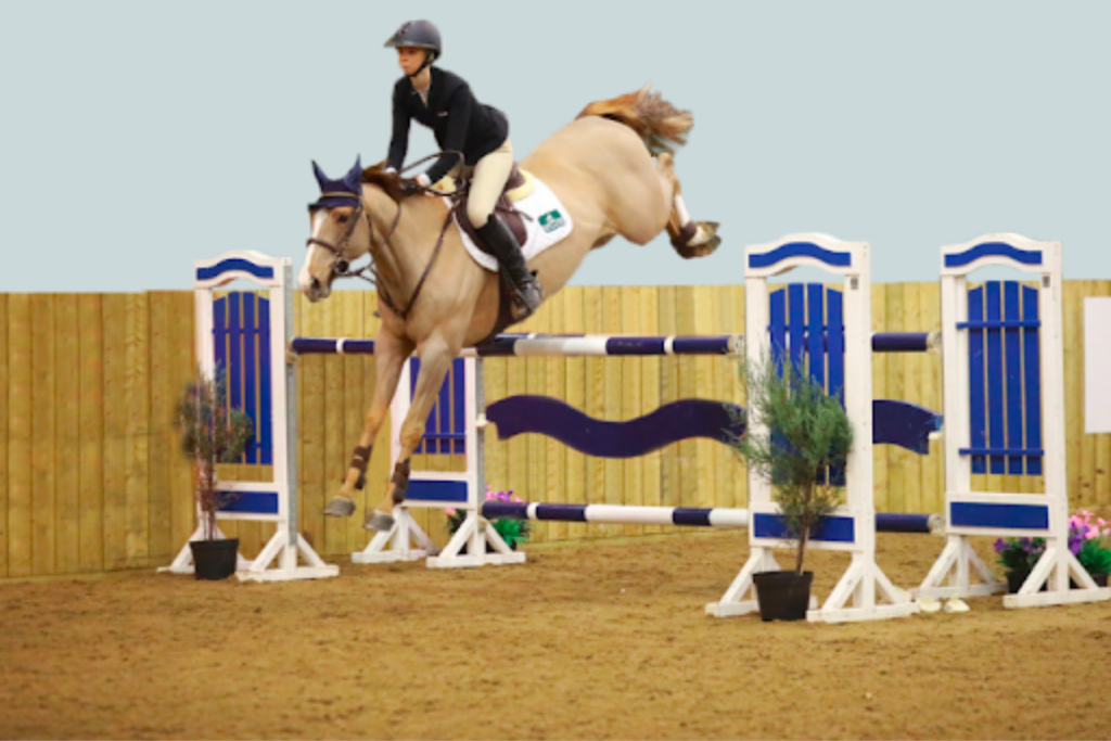 Top Equestrian Surface Products And Their Benefits CombiRide