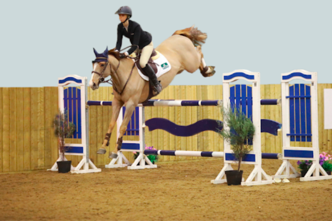 Top Equestrian Surface Products And Their Benefits