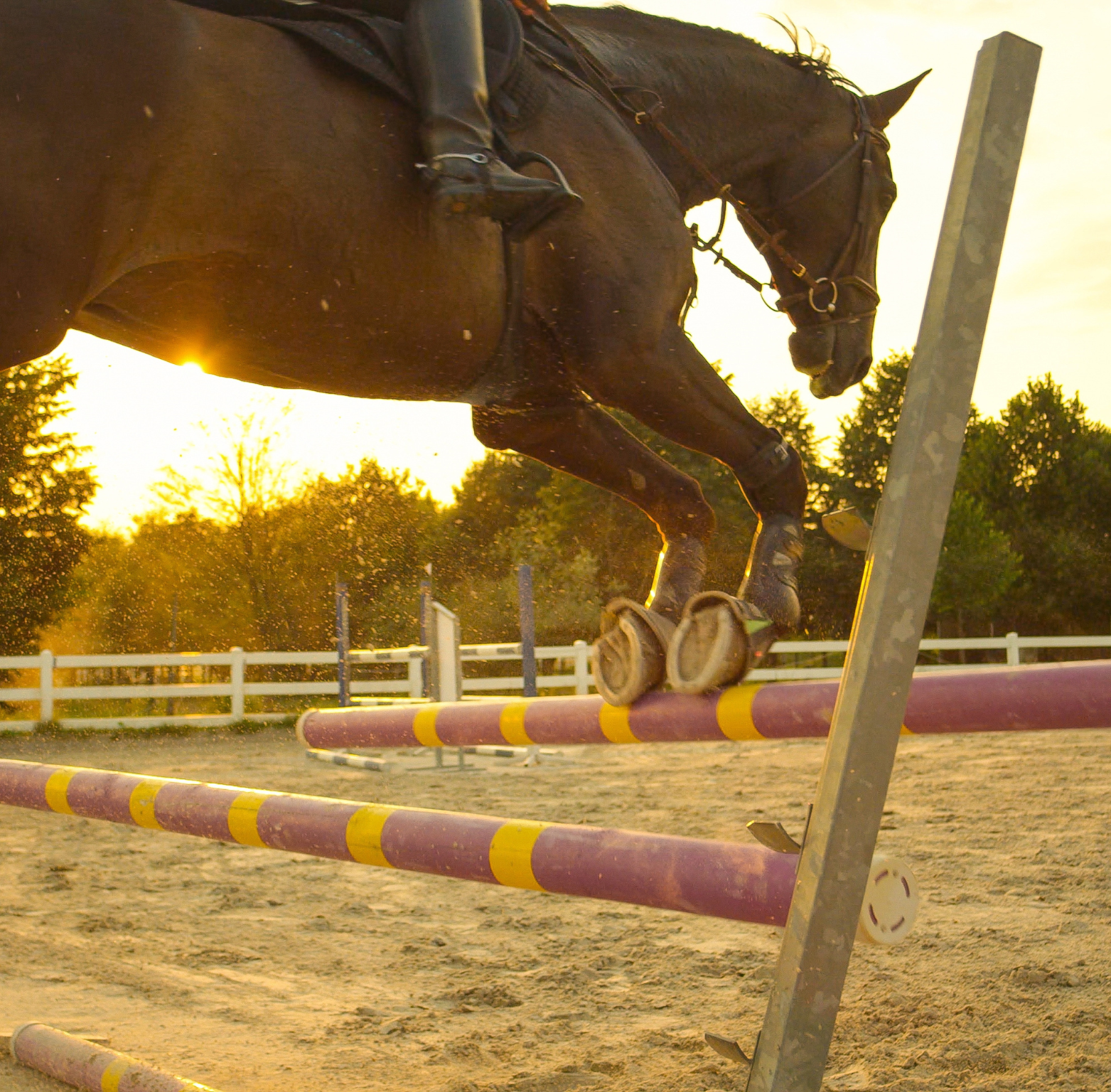 5 Things to Consider When Choosing Between Equestrian Surfaces
