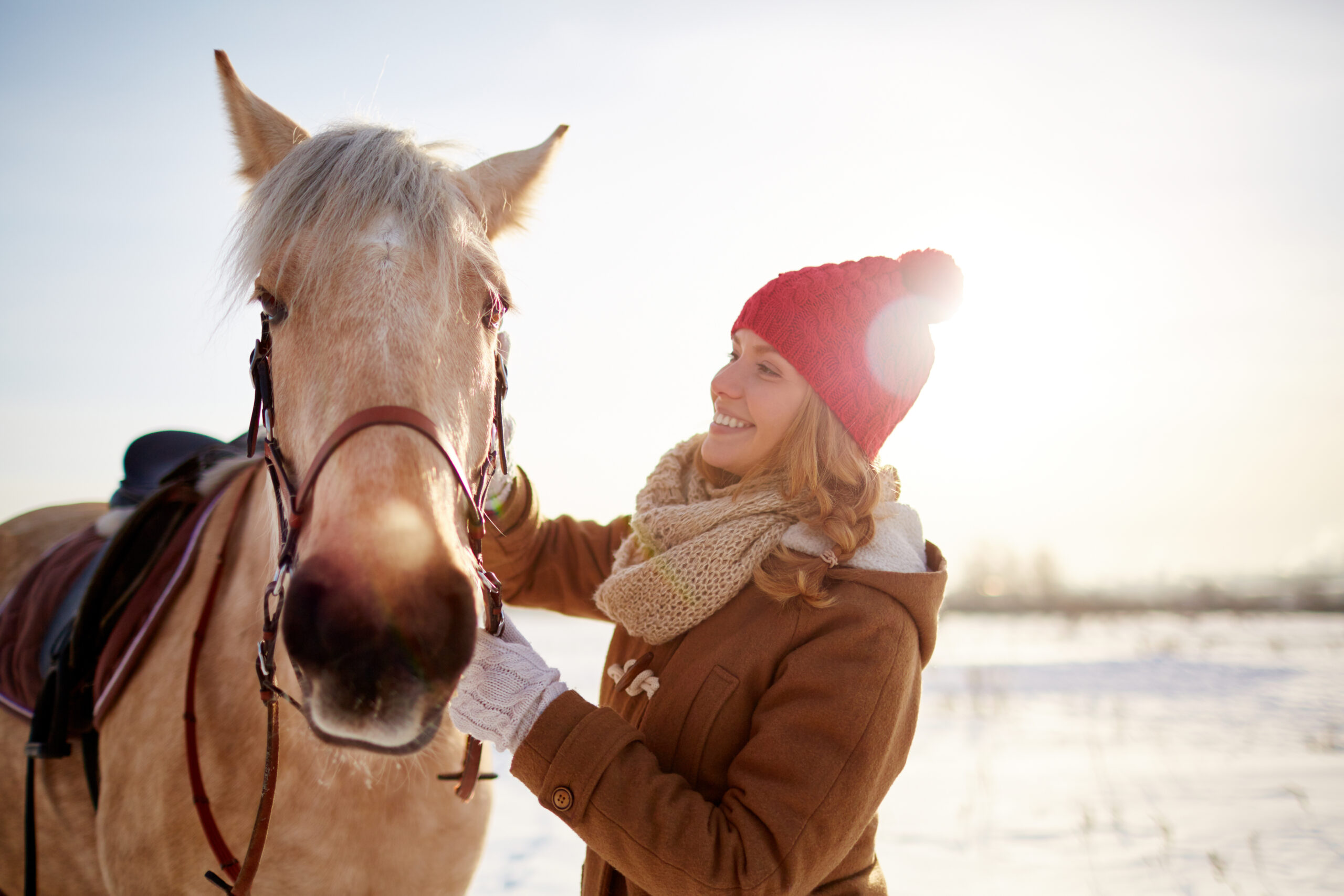 Young Woman Take Care Of Her Horse