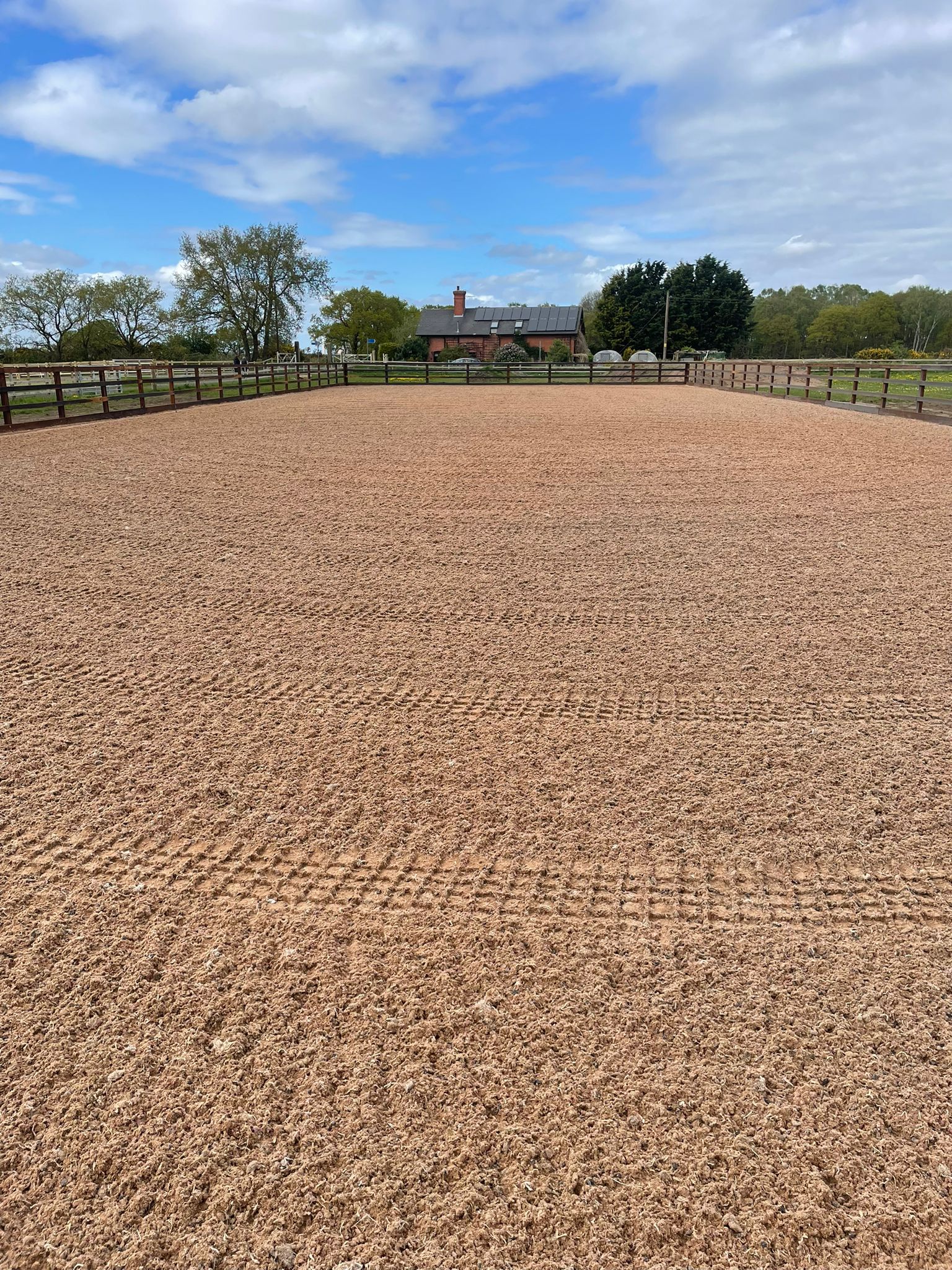 How Does Arena Fibre Help Improve Your Horse’s Performance