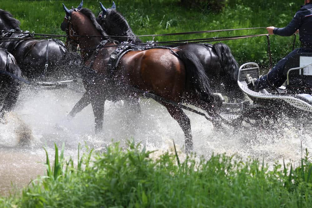 Royal Windsor Horse Show 2025