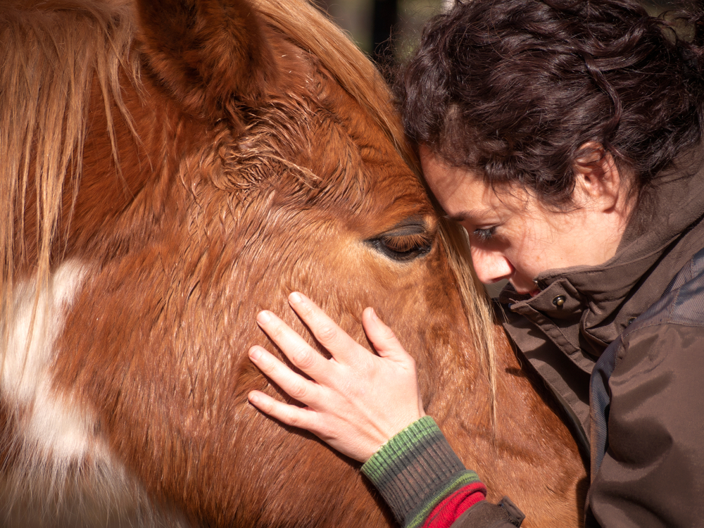 Understanding, Communicating and Growing with Your Horse
