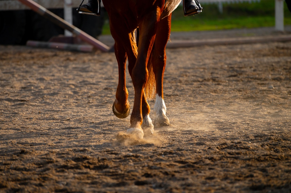 How Arena Surfaces Influence Horse Straightness and Balance