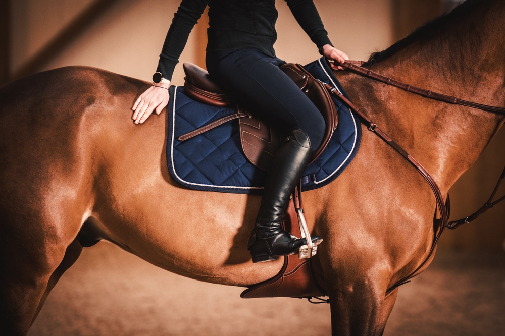 Footing Fatigue: How Tiredness Changes a Horse’s Behaviour and Training Quality
