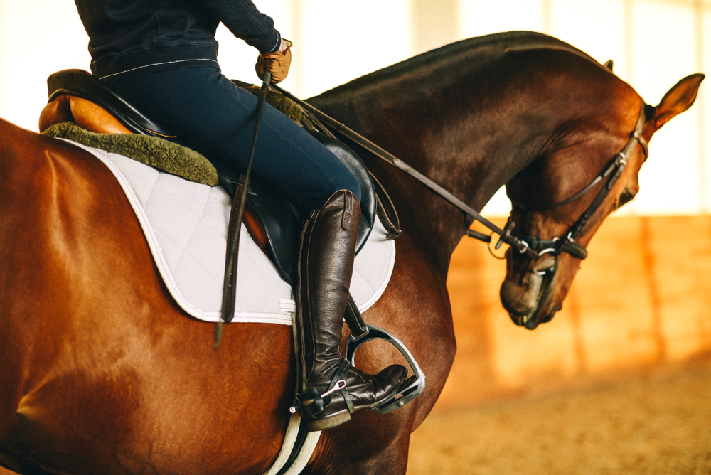 How Arena Footing Affects Rider Confidence and Training Quality